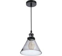 Светильник BayerLux 40397/1 E27 40Вт черный-тонированный 18,5х18,5х23-123 см 4964578