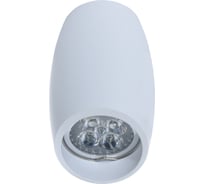 Потолочный светильникLumina Deco  Bradly LDC 8052-D SS-D70хH115 WT