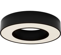 Потолочный светильник Maytoni C093CL-24W3K-B