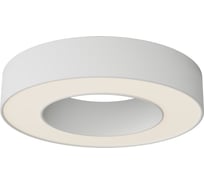 Потолочный светильник Maytoni C093CL-24W3K-W