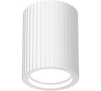 Потолочный светильник Maytoni C121CL-GU10-W