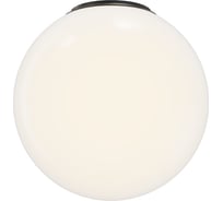 Потолочный светильник Maytoni MOD427CL-L10B3K