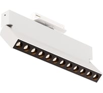 Трековый светильник Maytoni TR224-1-12WCCT-M-W