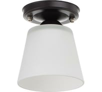 Светильник BayerLux 913121 E27 40Вт венге 12х12х18 см 4901116