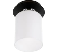 Светильник BayerLux 913101 E27 40Вт венге-хром 12х12х17 см 4901114