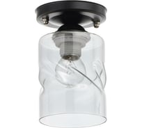 Светильник BayerLux 91316/1 E27 40Вт черный 12х12х18 см 4901120