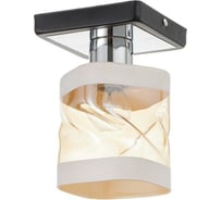 Светильник BayerLux 913181 E27 40Вт черный 12х12х18 см 4901122
