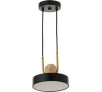 Светильник BayerLux 354241 LED 24Вт 3000-6000К черный 18х18х20 см 4941225