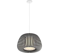 Подвесной светильник Maytoni MOD409PL-01B