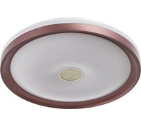 Светильник с ПДУ BayerLux 670521N LED 72Вт 3 режима 3000-6000К диммер кофе 49х49х8 см 4623896