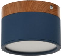 Светильник BayerLux LED, 12Вт, 4000К, синий, 11х11х7,5 см 4642573