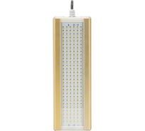 Модуль ЛЕНСВЕТ Эконом GOLD, консоль K-1, 62 Вт LSS-ST-K-018-62-8990-4000-120-67