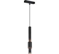 Трековый магнитный светодиодный светильник iLEDEX VISION48/25 4825-045-D60-12W-38DG-4000K-BK