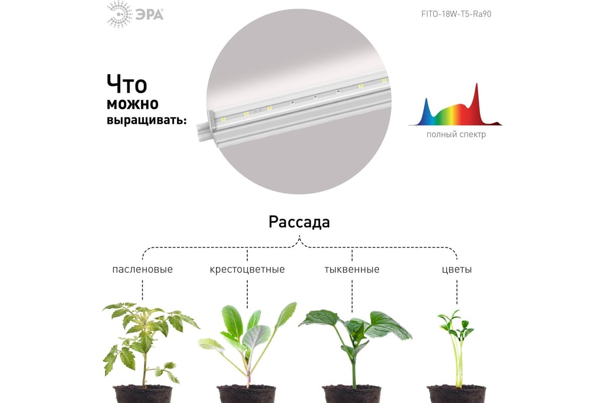 Линейный фито светильник для растений и рассады ЭРА полного спектра FITO  18W T5 Ra90 Б0049313 - выгодная цена, отзывы, характеристики, фото - купить  в Москве и РФ