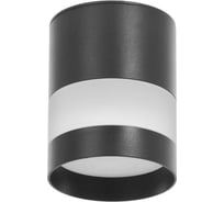 Светильник BayerLux 86615/1 LED 7Вт 4000К черный 8х8х10 см 4941309