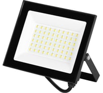 Прожектор светодиодный уличный ЭРА RED LINE LPR-024-2-65K-050 50Вт 6500K IP65 рег ИК датчик движения Б0065951