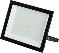 Прожектор светодиодный уличный ЭРА RED LINE LPR-024-0-40K-100 100Вт 4000K IP65 Б0067699