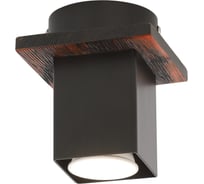 Потолочный светильник Rivoli Luise 3102201 1 GU10 50 Вт модерн Б0051250