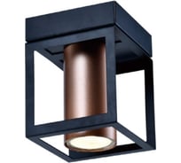 Потолочный светильник Rivoli Raffaela 5082201 1 GU10 50 Вт лофт кантри Б0051233