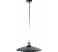 Люстра BayerLux подвес "Лист" E27 1х40Вт черный 40х40х100 2437163