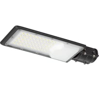 Светильник уличный светодиодный ЭРА SPP-503-0-30K-050 50Вт 5000лм 3000К КСС Ш 3 года IP65 Б0051836