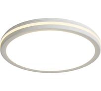 Потолочный светильник Freya FR6160CL-L40W