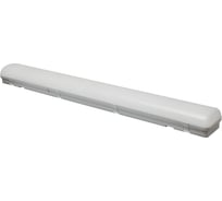 Светильник Uniel ULY-K70N 40W/6000K/L126 IP65 WHITE UL-00012531