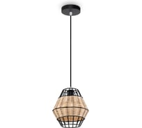 Подвесной светильник Freya FR5335PL-01B1