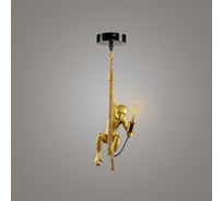 Подвесной светильник RITTER MONKEY 1xE27, золото 52650 6