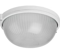 Светильник TDM ELECTRIC НПБ1101 белый/круг 100Вт IP54 SQ0303-0024