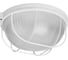 Светильник TDM ELECTRIC НПБ1102 белый/круг с решеткой 100Вт IP54 SQ0303-0026 1