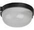 Светильник TDM ELECTRIC НПБ1101 черный/круг 100Вт IP54 SQ0303-0025 1