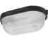 Светильник TDM ELECTRIC НПБ1201 черный/овал 100Вт IP54 SQ0303-0029 1