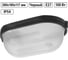 Светильник TDM ELECTRIC НПБ1201 черный/овал 100Вт IP54 SQ0303-0029 2
