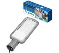 Светильник светодиодный уличный консольный Volpe ULV-Q611 50W/6500K IP65 GREY UL-00012813