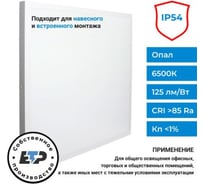 Светильник светодиодный ЕТР ДВО 01-1x40-003 УХЛ4 6500К IP54 40Вт опал 358233-54