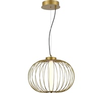 Светильник подвесной ST-Luce ST luce Золотистый/Золотистый LED 1х3000K SL61х3.01 SL6124.203.01