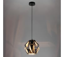 Подвесной светильник Eurosvet 50137 1 черный 00000084448