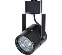 Потолочный светильник Arte Lamp A1311PL-1BK