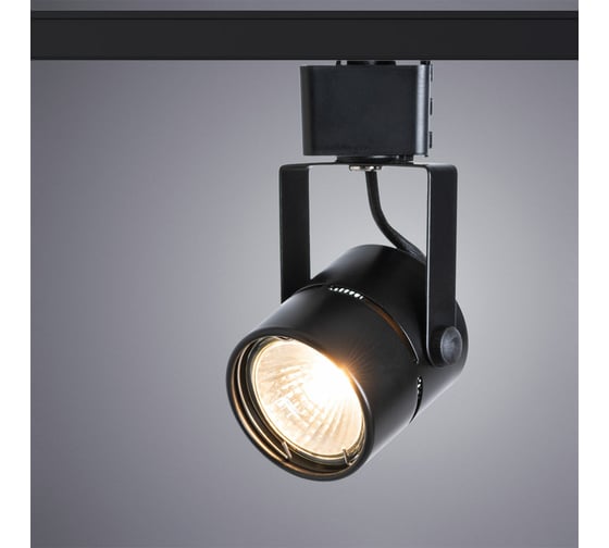Потолочный светильник Arte Lamp A1311PL-1BK