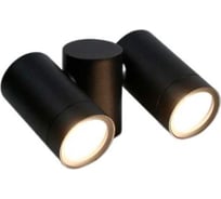 Фасадный светильник General Lighting Systems Люмикс GWL-2MR16-GU10-R-IP65 черный 662490