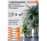 Настенно-потолочный светильник OSRAM 30W дерево 4607194231584 7