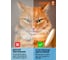 Настенно-потолочный светильник OSRAM 30W дерево 4607194231584 9