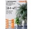 Настенно-потолочный светильник OSRAM 18W дерево 4607194231553 6