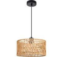 Светильник подвесной ARTE LAMP A7088SP-1BK