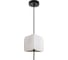 Светильник подвесной ARTE LAMP A7084SP-1BK 1