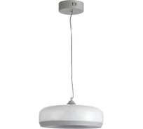 Светильник подвесной ST LUCE Серый/Молочный LED 1*42W 3000K SL6014.503.01