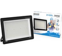 Прожектор светодиодный уличный Gauss 300W 24000lm IP65 6500К холодный свет, черный GFD00301