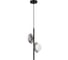 Светильник подвесной ST-Luce ST luce Черный/Дымчатый, Белый G9 2х5х4000K SL1х3.02 SL1521.403.02 2