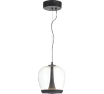 Светильник подвесной ST LUCE черный/прозрачный, черный LED 1*17W 3000K SL6014.423.01